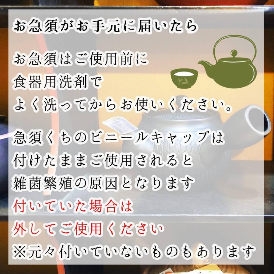 黒泥黄金吹き付け 飛び鉋紋様 常滑焼 晶 帯アミ急須 350cc 黒泥急須
