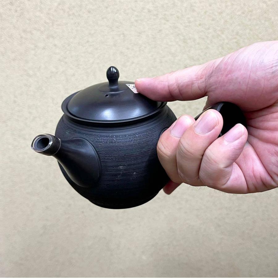 急須 常滑作家選 玉光陶苑 梅原廣隆作 陶製アミ 350ml 常滑焼 茶器 国産｜fujikubotaen｜07