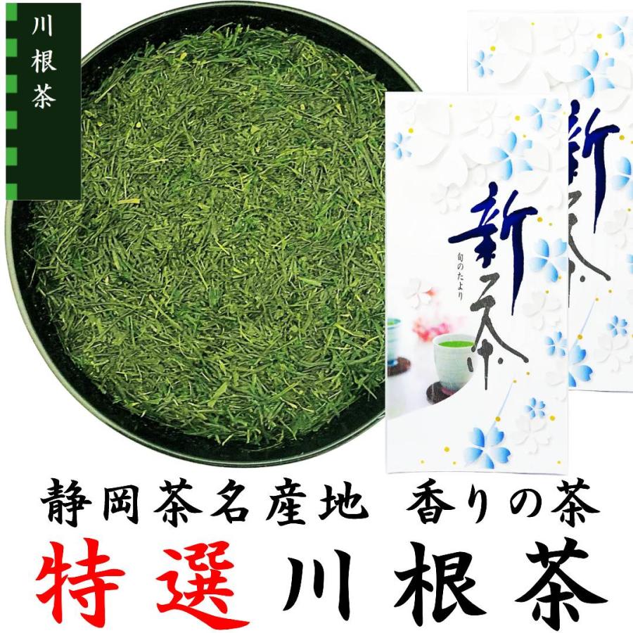 特選川根茶 100g×2袋 静岡茶 2024年産 静岡茶名産地シリーズ 特選川根茶 100g×2袋 静岡茶 2024年産 静岡茶名産地シリーズ
