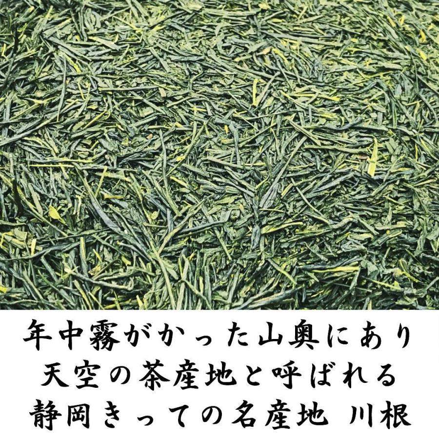 2026新茶 特上川根茶 100g×2袋 静岡茶 静岡茶名産地シリーズ 生粋川根