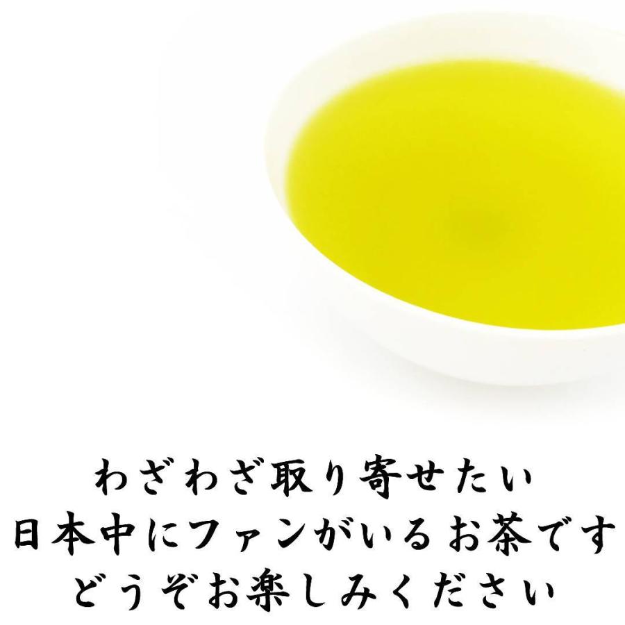 2026新茶 特上川根茶 100g×2袋 静岡茶 静岡茶名産地シリーズ 生粋川根