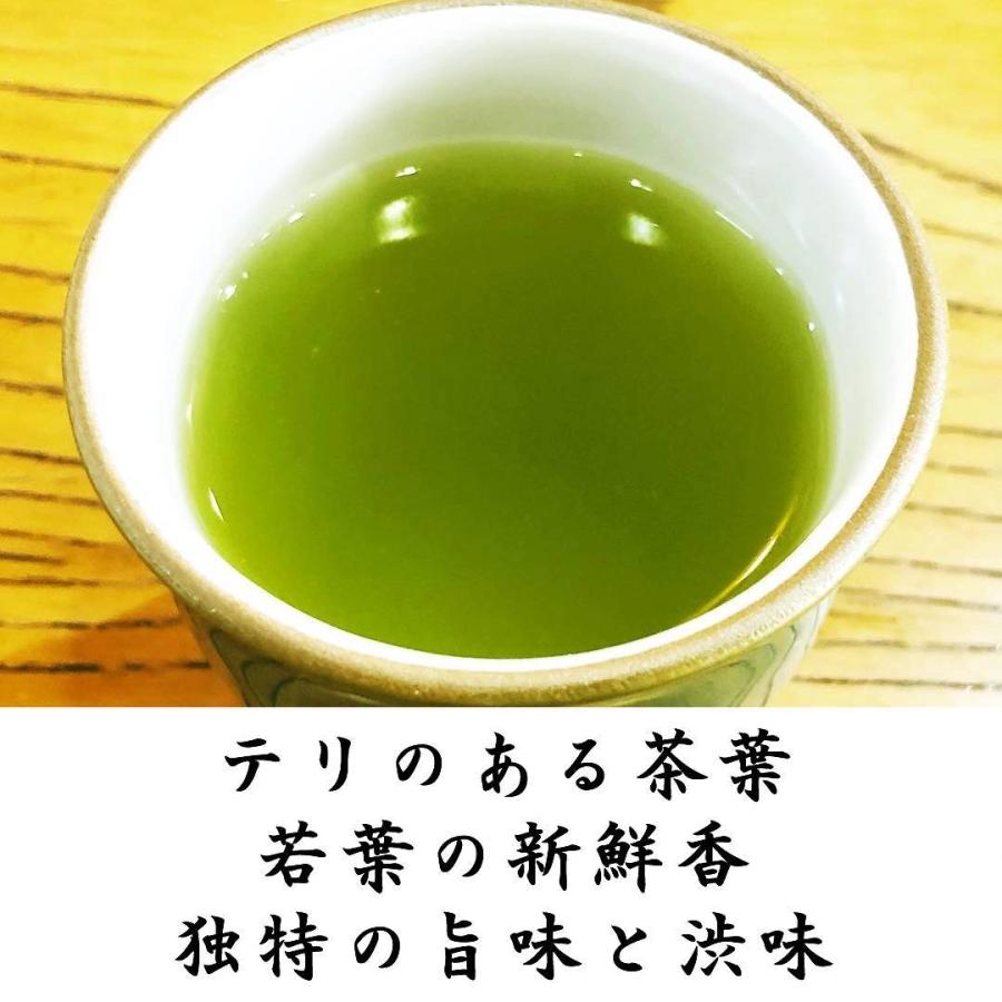 新作続 つゆひかり 静岡産 2022静岡新茶 玉緑茶 やぶきた 100g×3 新作続 つゆひかり 静岡産 2022静岡新茶 玉緑茶 やぶきた 100g×3