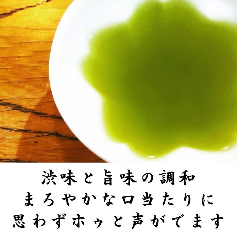 みる芽茶 100g 芽茶 2023年産 静岡県産一番茶100%使用 やぶきた茶 お茶 クリックポスト対応 大きさ1｜fujikubotaen｜04