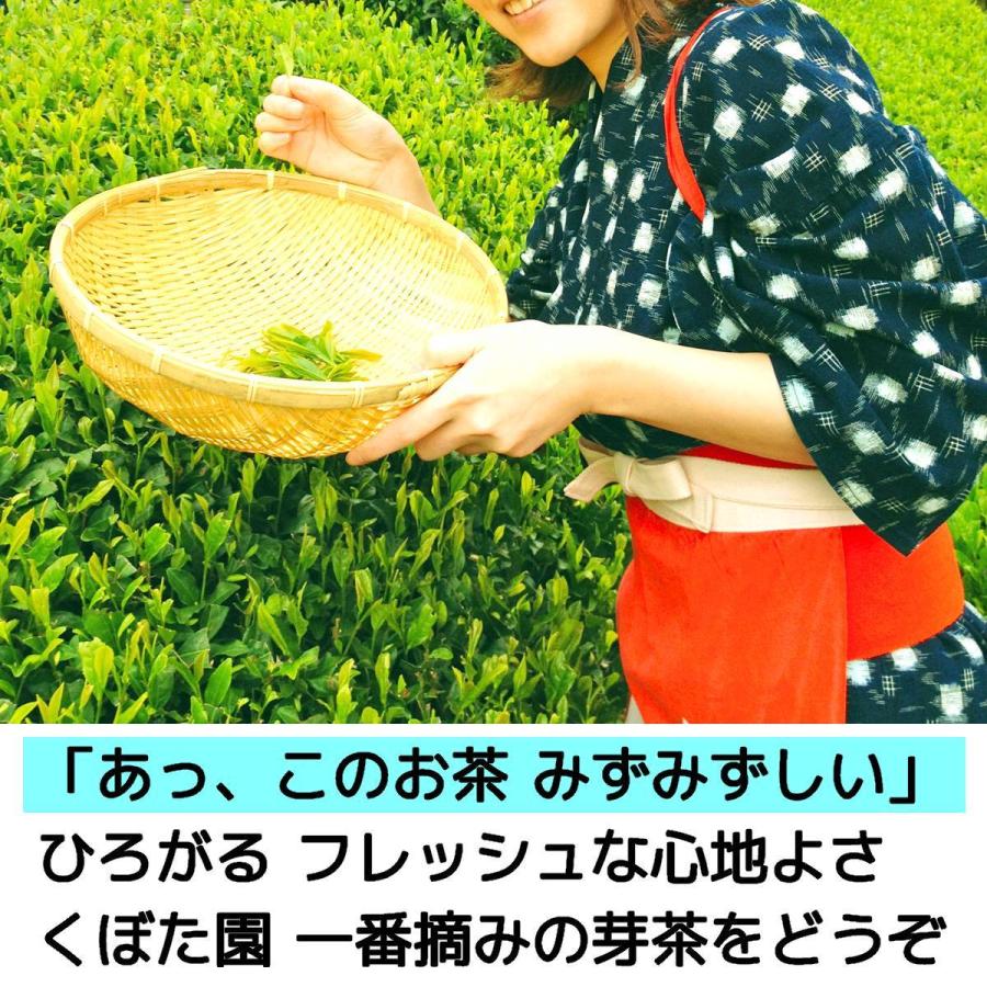 2024年 静岡県産 新茶 100g×20袋 みる芽茶 100g×2袋 2025年産 静岡茶 静岡県産一番茶を100%使用 希少な
