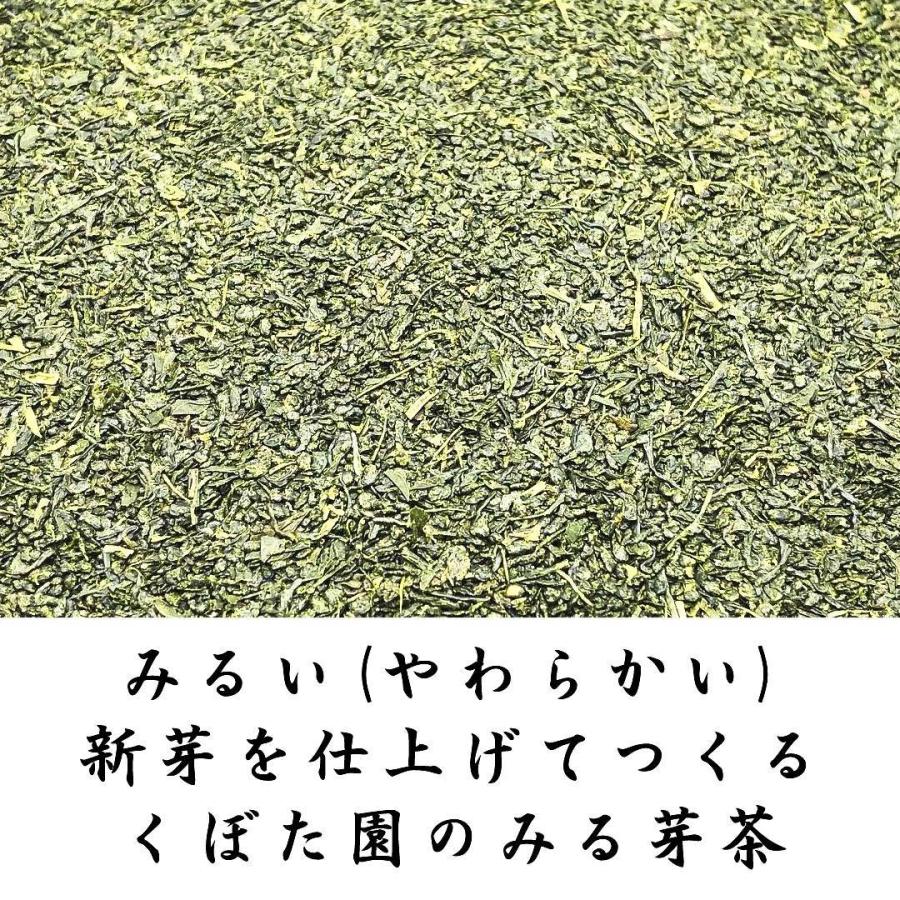 上みる芽茶 100g 2023年産 静岡県産一番茶の新芽を使用 め茶 お茶 クリックポスト対応 大きさ1｜fujikubotaen｜02