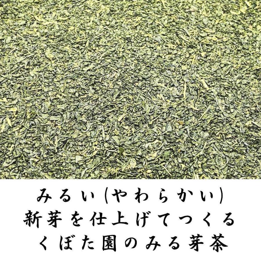 上みる芽茶 100g×3袋 2023年産 静岡茶 一番茶の新芽を使用 静岡茶 め茶 お茶｜fujikubotaen｜03