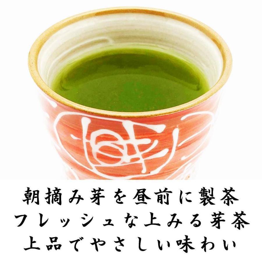 上みる芽茶 100g×3袋 2023年産 静岡茶 一番茶の新芽を使用 静岡茶 め茶 お茶｜fujikubotaen｜05