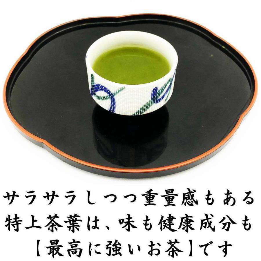 えぷすんじぇ！ 新茶自園の銘茶6袋、新茶くき茶3袋 2026新茶 特上特蒸し茶 100g×3袋 静岡茶 最高に強いお茶 くぼた園本気