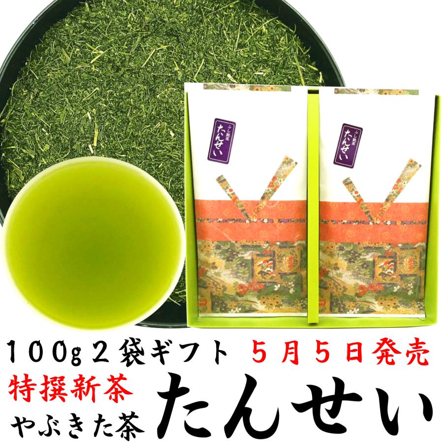 2025静岡新茶ギフト 特撰やぶきた茶 たんせい 100g×2袋 平箱詰め 2025静岡新茶ギフト 特撰やぶきた茶 たんせい 100g×2袋 平箱詰め