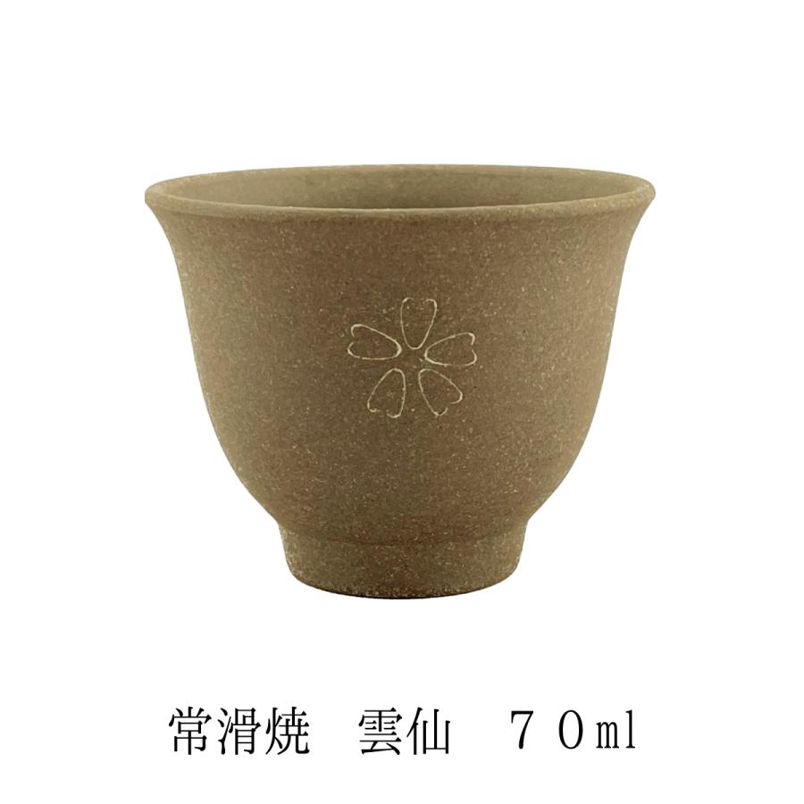 値下げしました！常滑焼 練り込み 湯呑み5客 急須1 茶こぼし1 湯