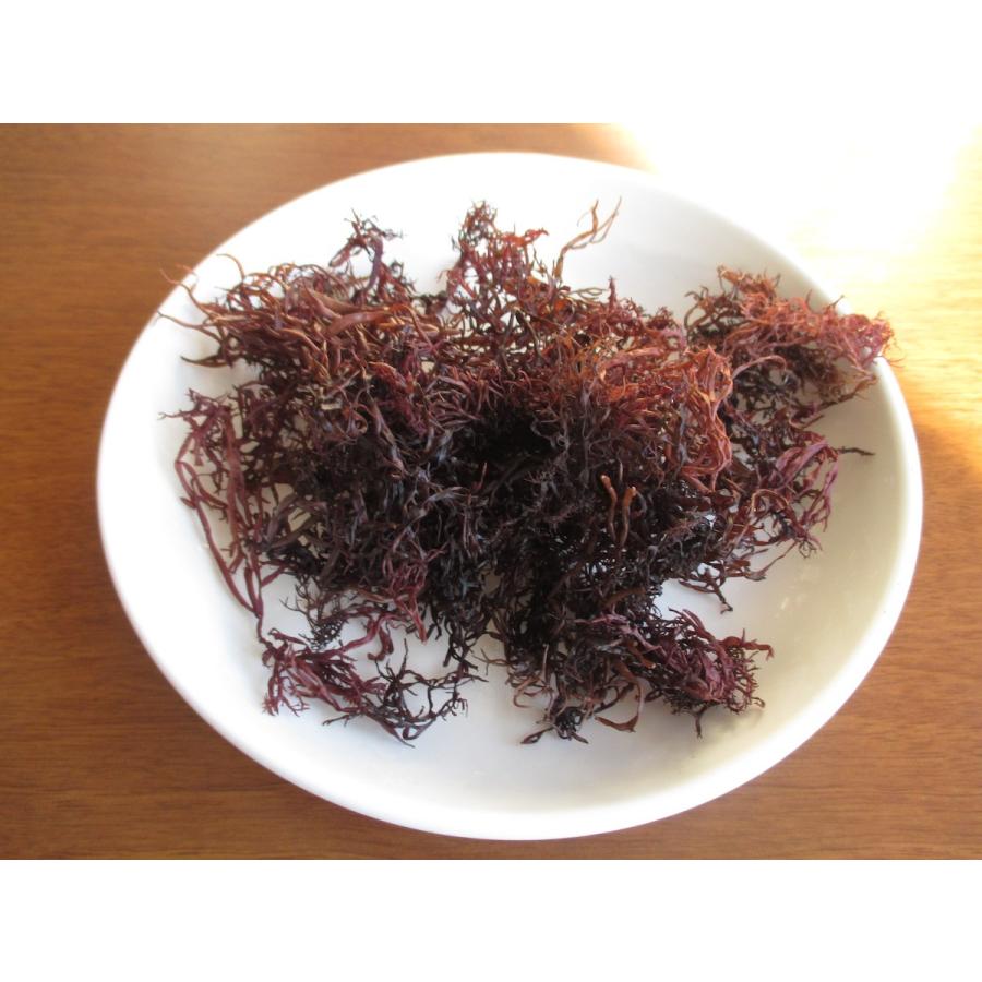 国産天然乾燥ふのり　1キロ ふのり 乾燥 20g : 富士國物産 - 通販 - Yahoo!ショッピング