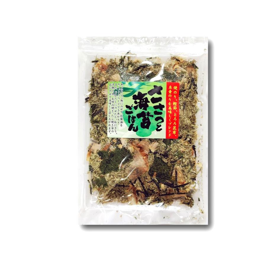 人気の定番 ささっと海苔ごはん ふりかけ g Aynaelda Com