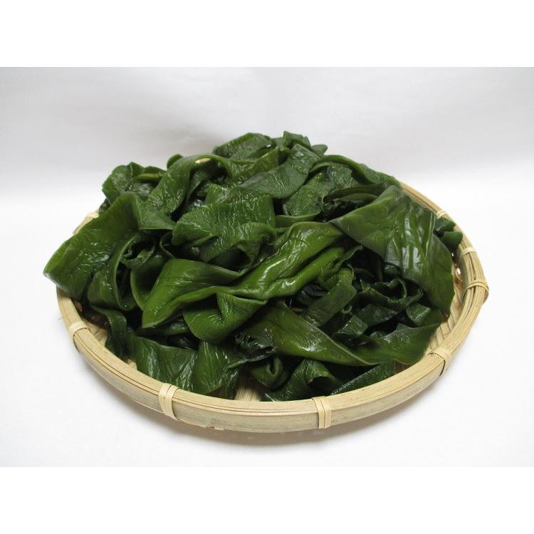 理由あり 湯通し塩蔵元付茎若布 三陸産 500g Wakame4 富士國物産 通販 Yahoo ショッピング