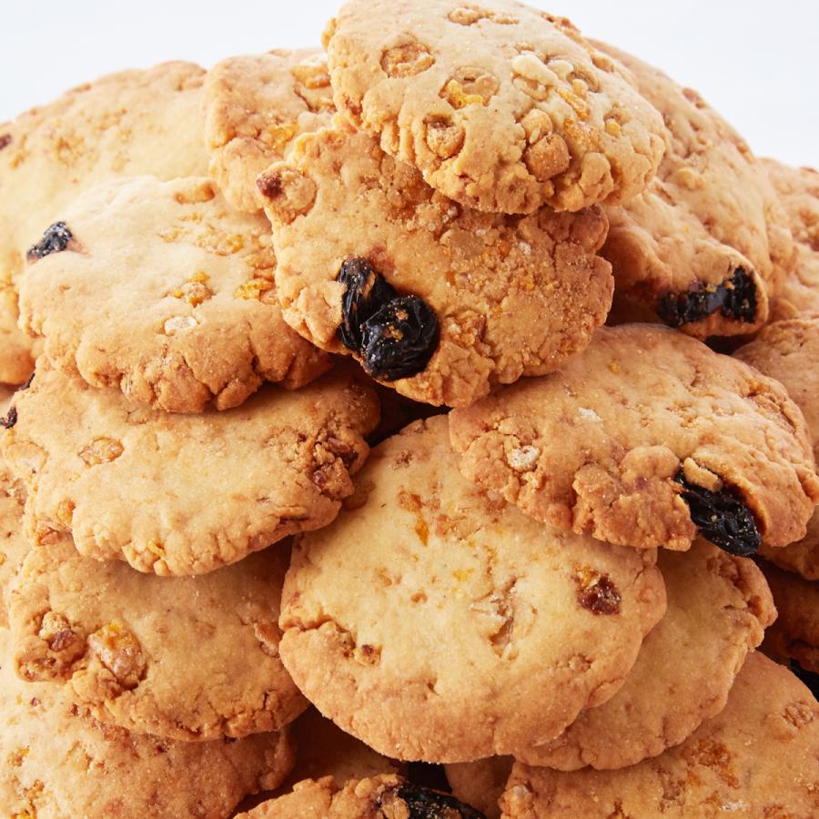 訳あり フルーツグラノーラ豆乳おからクッキー1kg ダイエットスイーツ Pzy0084 フジラタyahoo 店 通販 Yahoo ショッピング