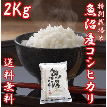 コシヒカリ 【予約】令和7年産 新米 魚沼産コシヒカリ 2kg 米 お コシヒカリ 【予約】令和7年産 新米 魚沼産コシヒカリ 2kg 米 お