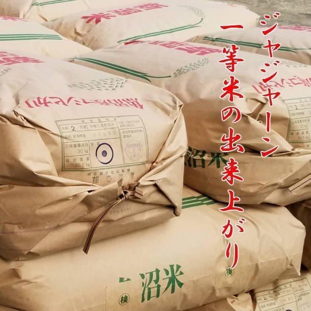 令和5年産 新米 魚沼産コシヒカリ 2kg 米 お米 うまい米 極上 米高級 Aランク 白米 2キロ 送料無料 新潟コシヒカリ 贈答用 贈り物 ギフト 新潟県 ポイント消化｜fujimakisanchi｜15