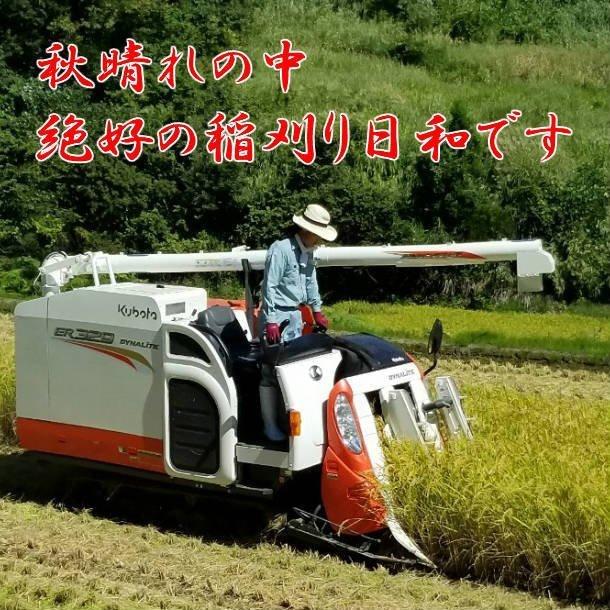 コシヒカリ 新米 令和7年産 魚沼産コシヒカリ 米 10kg お米 10kg 白米