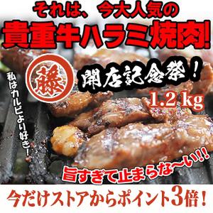 国際ブランド たっぷり1 2kg やわらか貴重牛ハラミ 人気部位 売り切れ御免 大容量 焼肉用 おとなの週末掲載 国産 Bajawinescabo Com