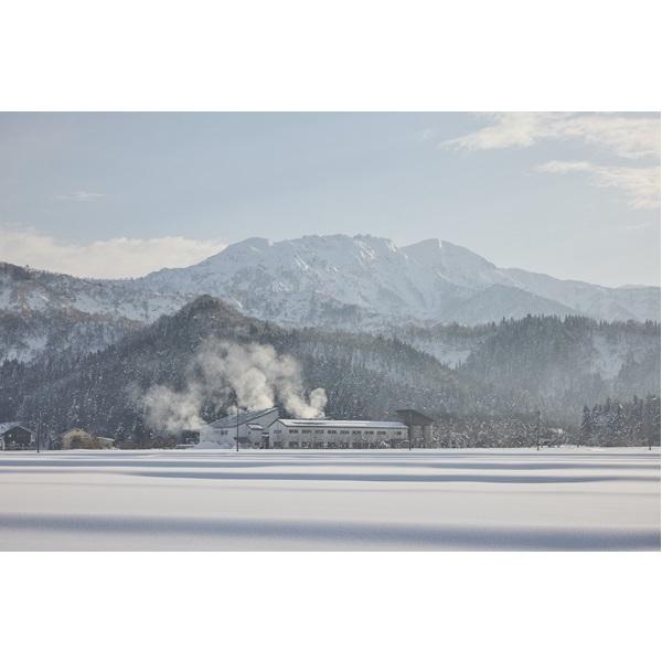 八海山 【ドジャース公式ボトル】純米大吟醸 ブルーボトル ワールド