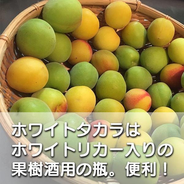 宝(タカラ)酒造 ホワイトタカラ 果実酒の季節 mini 450ml広口びん(中身