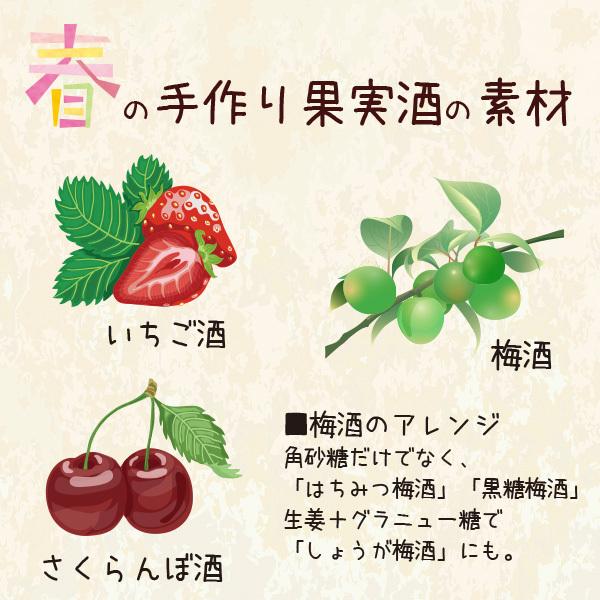宝(タカラ)酒造 ホワイトタカラ 果実酒の季節 mini 450ml広口びん(中身