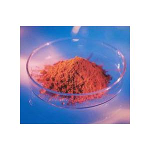 Pycnogenol Precious 120包 フランス海岸松 高配合 ピクノジェノールライフ 120粒 送料無料 : フジ