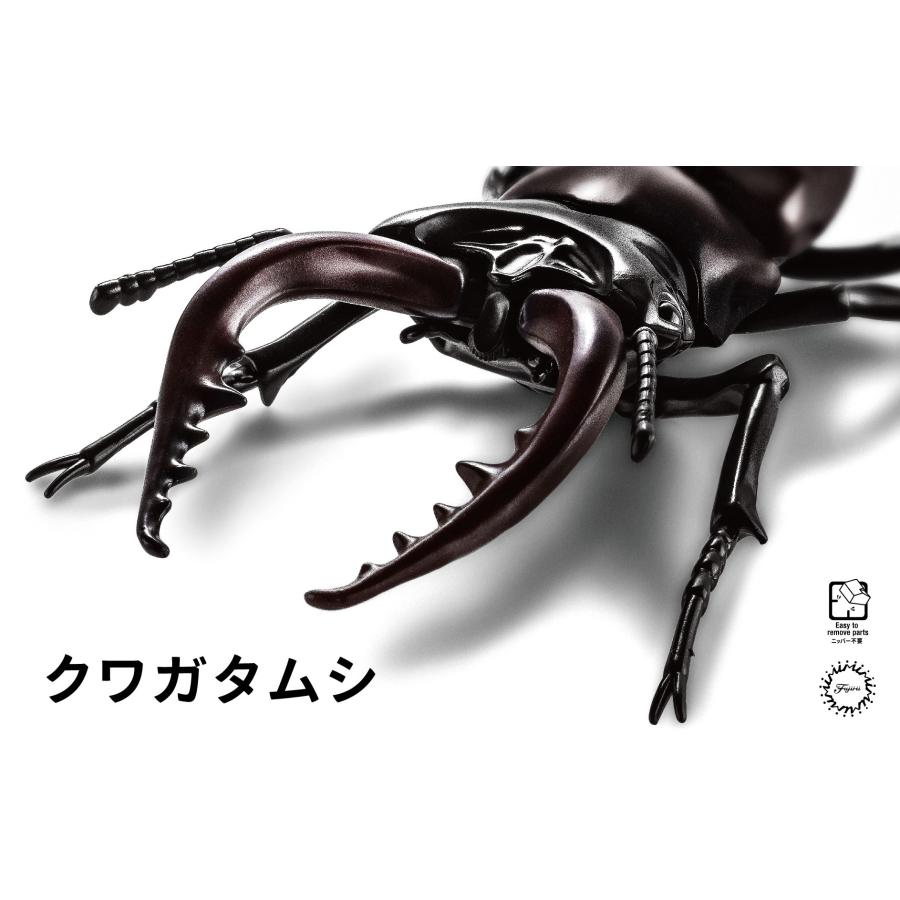 フジミ模型 自由研究22 いきもの編 クワガタムシ : フジミ模型 公式