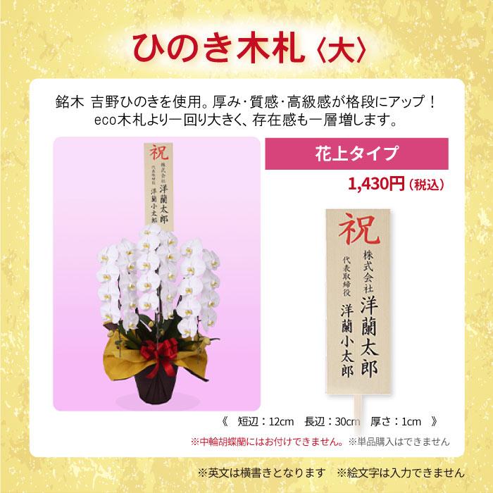 【全商品品質保証！】胡蝶蘭 お祝い お供え 3本立ち10000円 選べる5色 お祝い お供え 花ギフト お誕生日 開店祝 開業祝 新築祝｜fujimino｜21