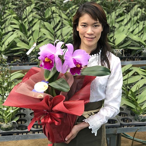 洋ランの女王「カトレア」ピンク2輪 花言葉『成熟した大人の魅力』癒し