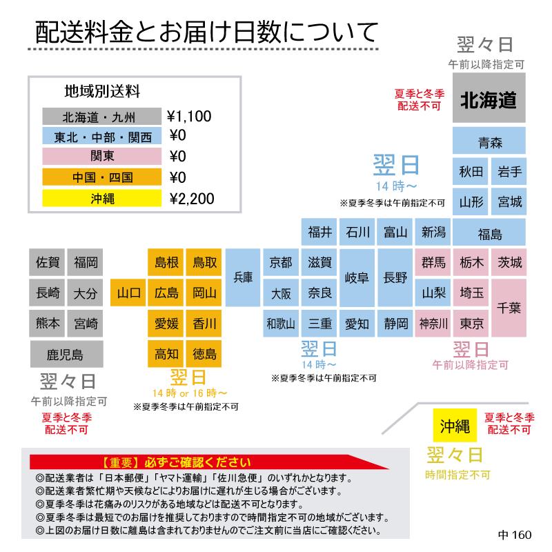 【ボーナスストア対象ストア】ビッグリップ胡蝶蘭スプリングフェアリー3本立ち お誕生日 開店祝 開業祝 新築祝 母の日 各種プレゼントお祝いお返しに｜fujimino｜11