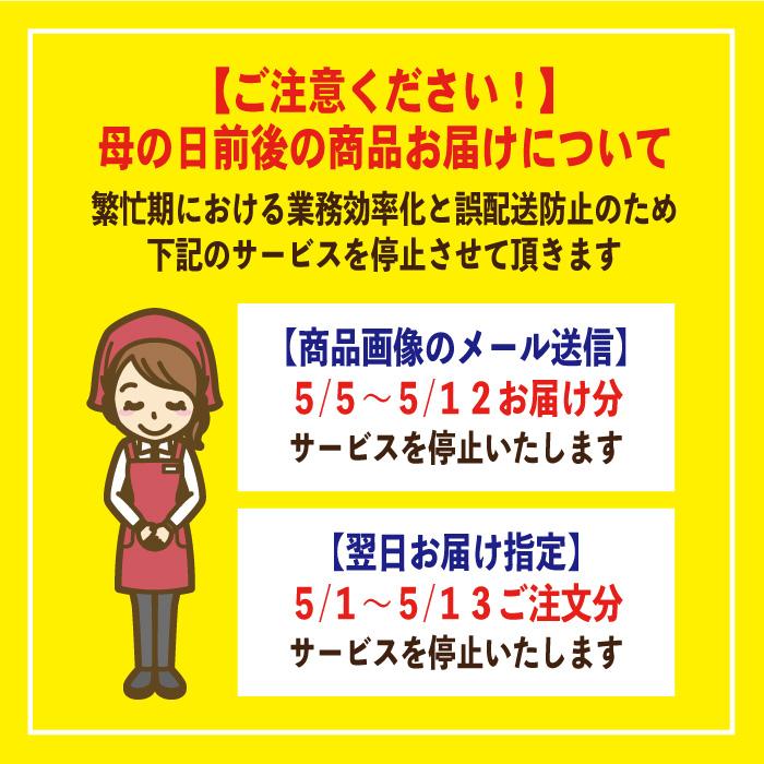 【品質保証ラベル付き】中大輪胡蝶蘭ホワイト 3本立ち お祝い お供え お誕生日 開店祝 開業祝 新築祝 長寿祝 退職祝 内祝い｜fujimino｜05