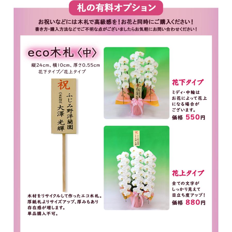 【全商品品質保証！】胡蝶蘭 お祝い お供え 5本立ち白ピンクミックス お花屋さんにはないカラーミックス 就任 昇進 お祝い お供え お祝い お供え E1517104657(15015円)