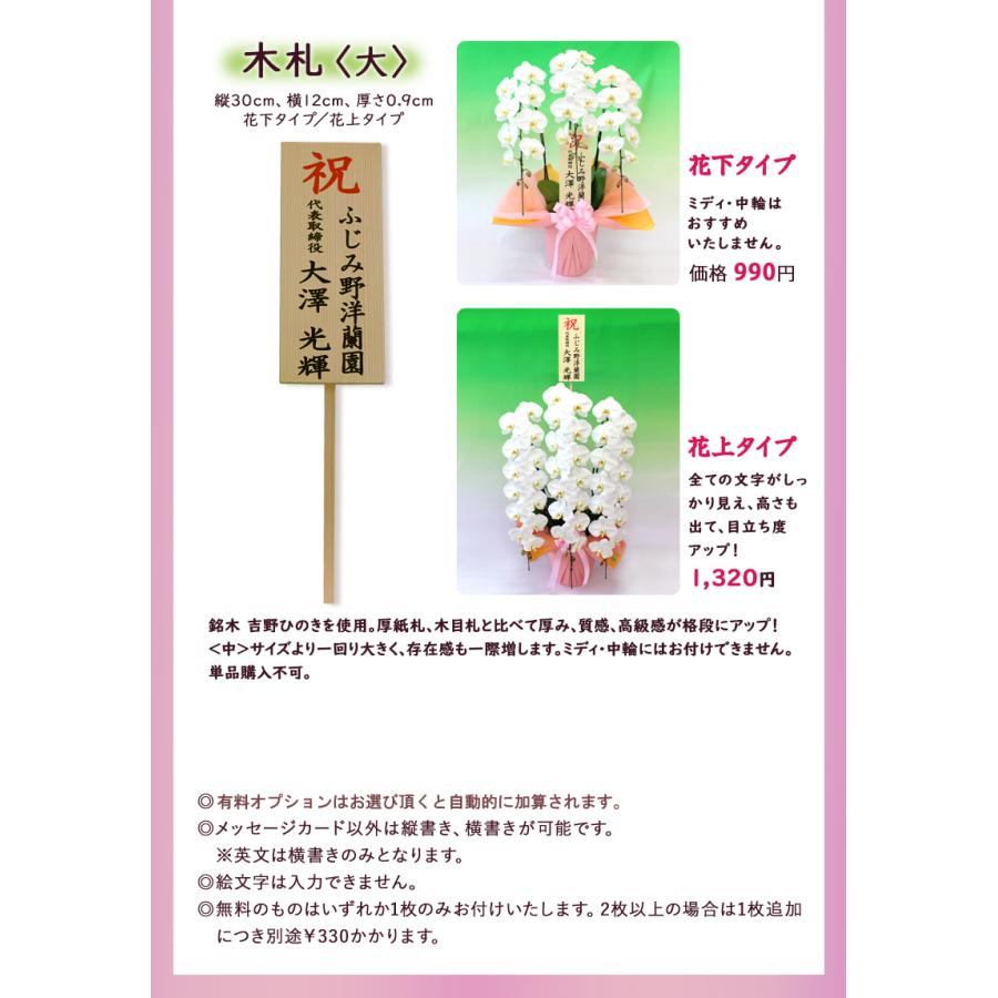 【全商品品質保証！】胡蝶蘭 お祝い お供え 5本立ち白ピンクミックス お花屋さんにはないカラーミックス 就任 昇進 お祝い お供え お祝い お供え E1517104657(15015円)