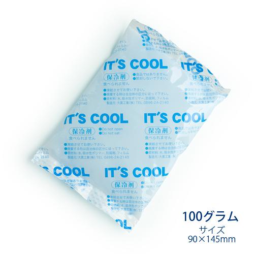 保冷剤 100グラム It's Cool(イッツクール) I-100 1ケース(160入) 業務用｜fujinamisquare