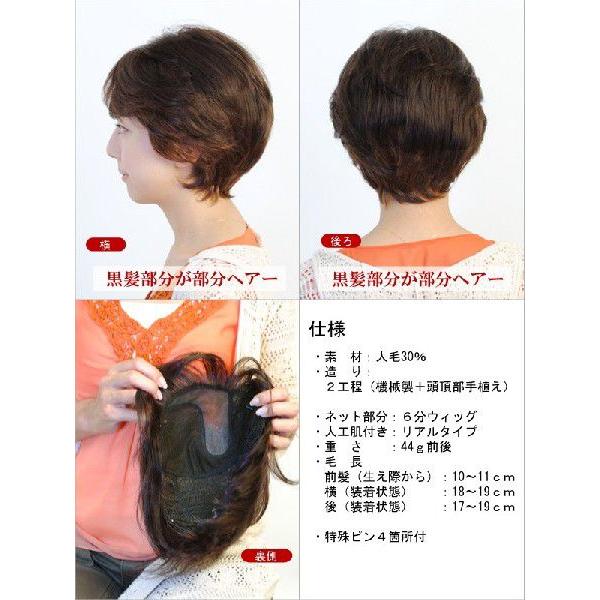 楽天 カバー力抜群の部分ヘアー 品番 Hb 005 3 ご自身の左手側に分け目 男女兼用 頭頂部 部分ヘアー 訳ありセール格安 Www Gran Gusto It