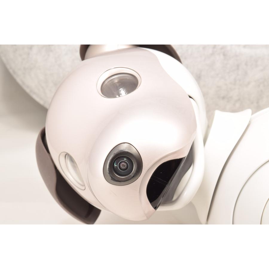 ソニー SONY アイボ ERS-1000 AIBO 犬型 : フジシロカメラ - 通販