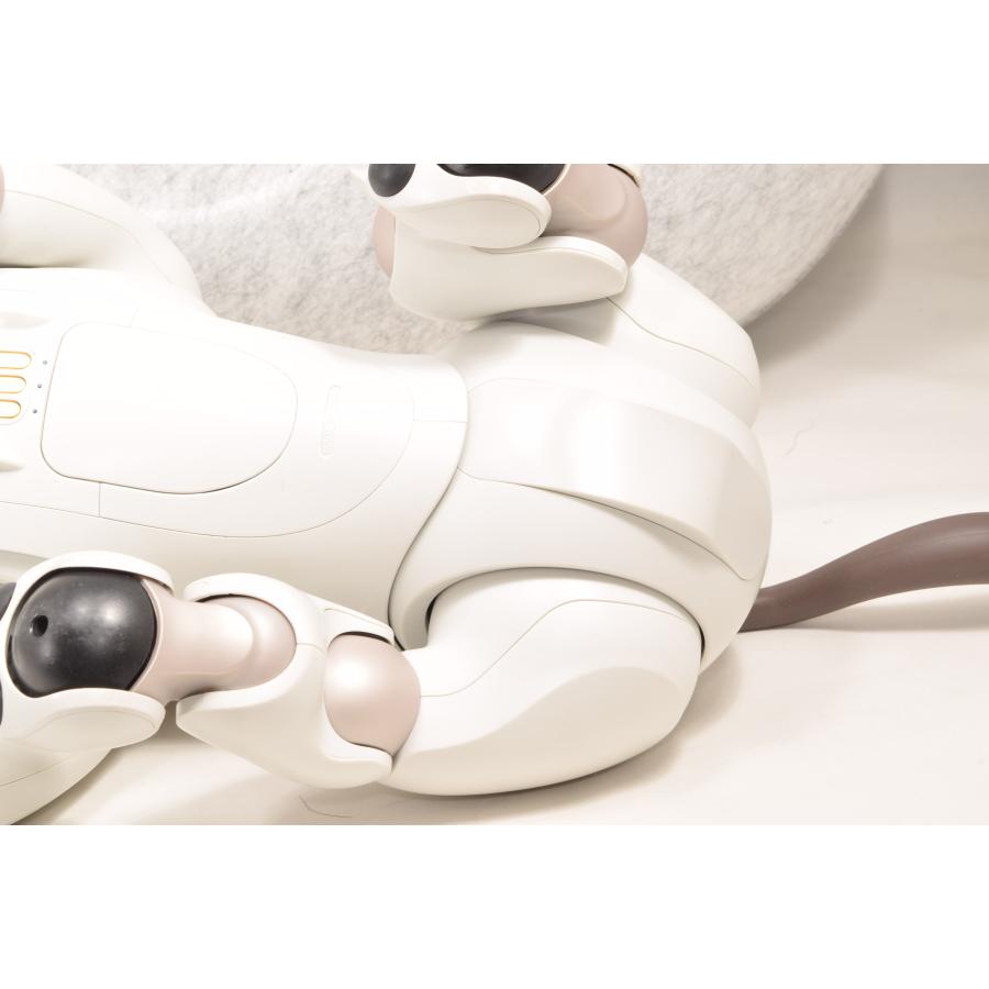 ソニー SONY アイボ ERS-1000 AIBO 犬型 : フジシロカメラ