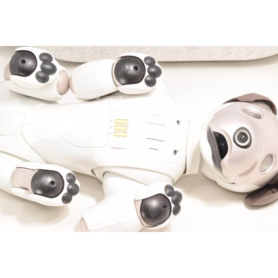 非常に綺麗 良品 ソニー SONY アイボ ERS-1000 AIBO 犬型 : フジシロ