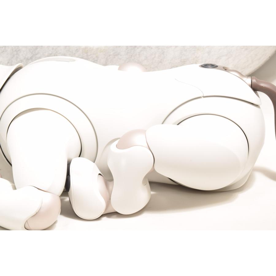 非常に綺麗 良品 ソニー SONY アイボ ERS-1000 AIBO 犬型 : フジシロ