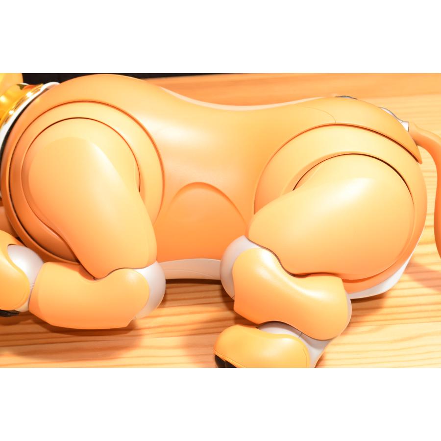 現品発送 キャラメルエディション ソニー アイボ ERS-1000 アイボーン ボール AIBO 犬型 ロボット ペット SONY バック 【UOI4294792478】(151189円)