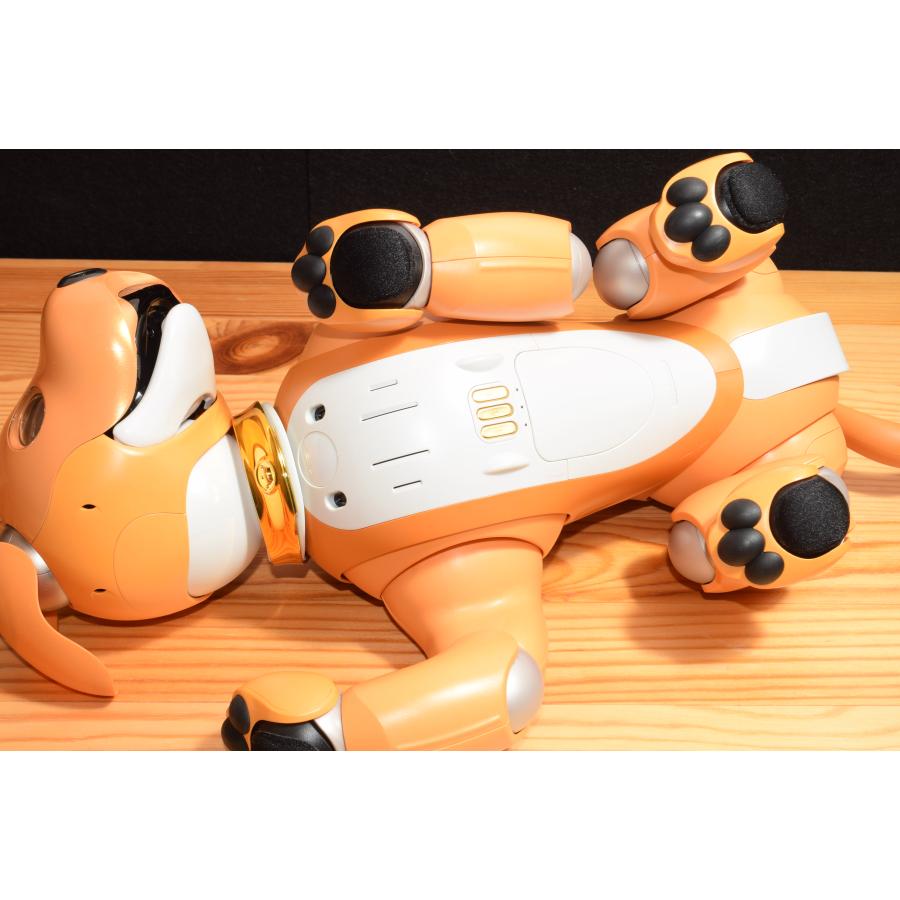 現品発送 キャラメルエディション ソニー アイボ ERS-1000 アイボーン ボール AIBO 犬型 ロボット ペット SONY バック 【UOI4294792478】(151189円)