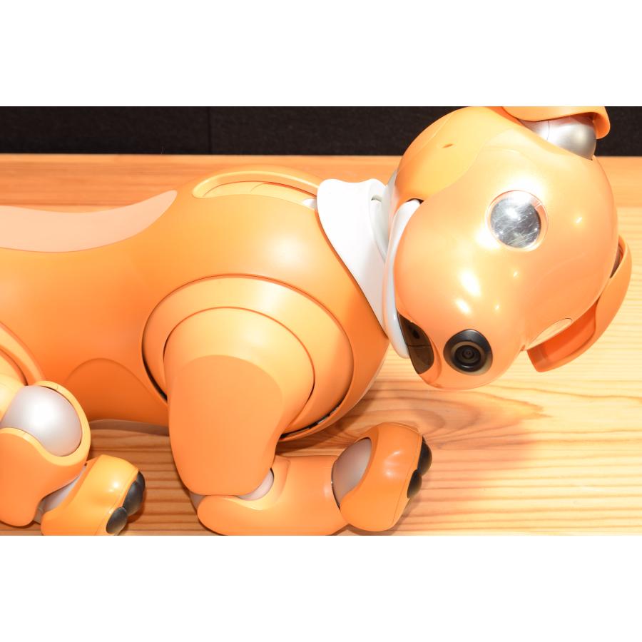 ソニー キャラメル エディション アイボ ERS-1000 アイボーン ボール ソニー、aibo（アイボ）の2020年限定カラーモデル「キャラメル