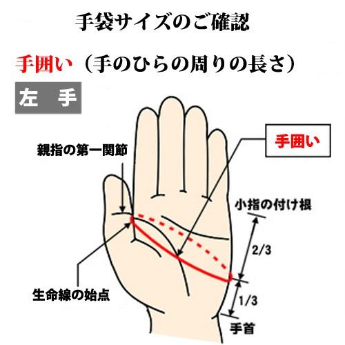 ゼット(ZETT) 限定 プロステイタス 守備用グラブ 片手用【野球・ソフト