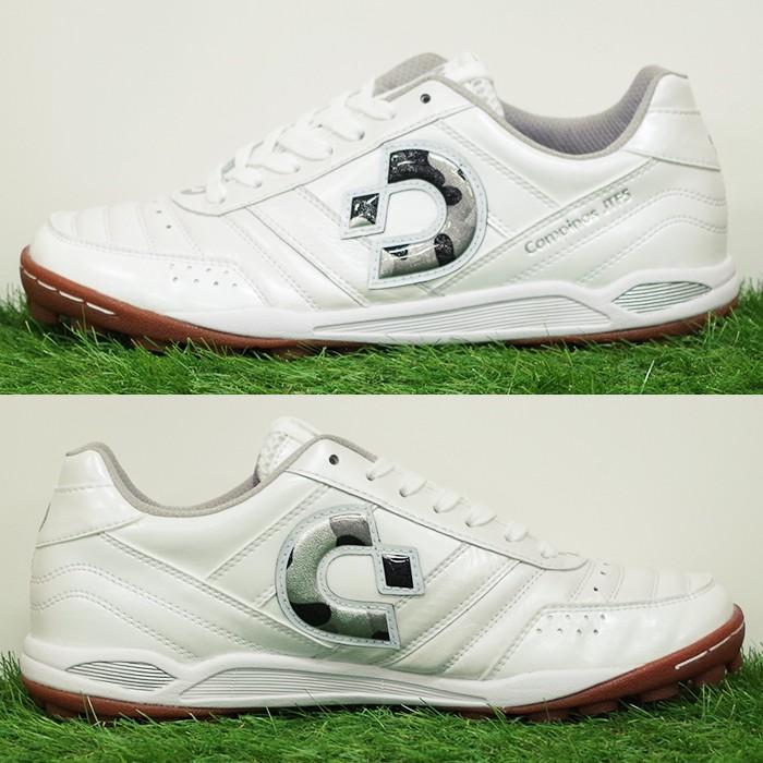 カンピーナス JTF 5 / Campinas V デスポルチ(Desporte) トレーニング