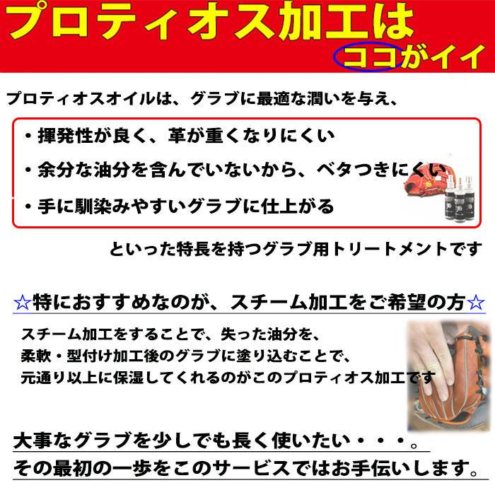 グラブ 型付け＆プロティオス仕上げ フジスポ FUJISPO 【野球