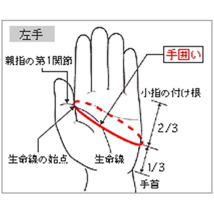 モレリア ブレスサーモグローブ (P2MY8510)ミズノ(mizuno) フィールド