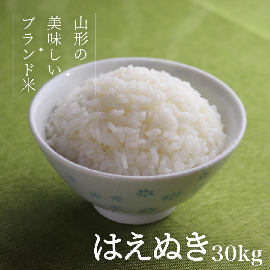 お米 はえぬき 30kg 送料無料 コメ 山形県産 令和5年産 精米 玄米 無