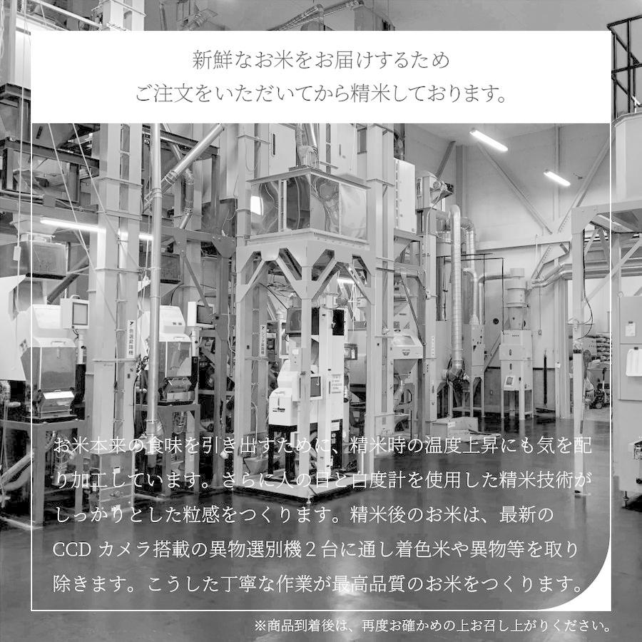 お米 はえぬき 30kg 送料無料 コメ 山形県産 令和5年産 精米 玄米 無洗米｜fujisports｜05