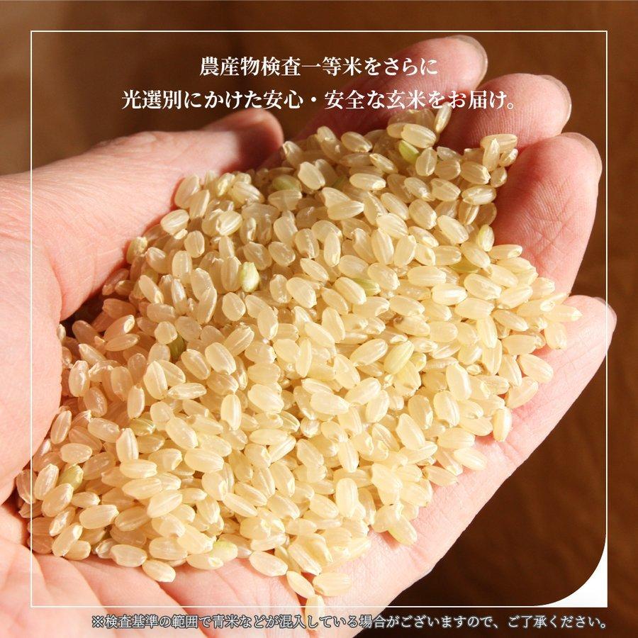 つや姫 お米 コメ 10kg 5kg×2 無洗米 精米 送料無料 山形県産 令和7
