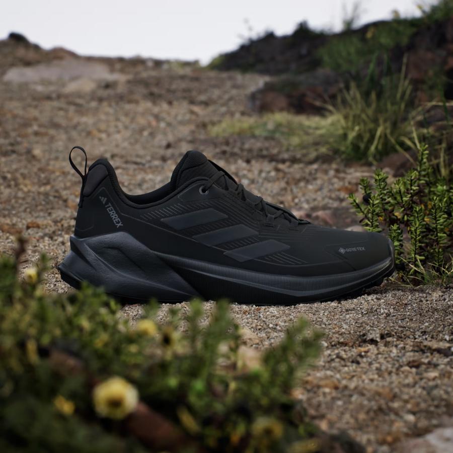 adidas（アディダス） ハイキングシューズ メンズ 防水 ゴアテックス